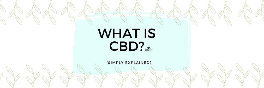 WHAT IS CBD & HOW DOES IT AFFECT THE BODY?