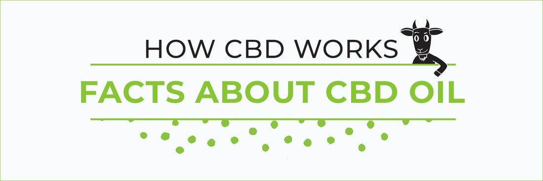 THE FACTS ABOUT CBD OIL!
